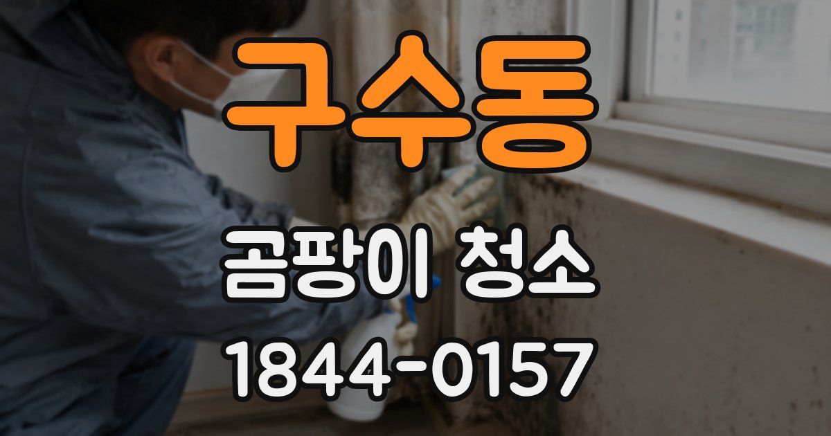 구수동 곰팡이 청소