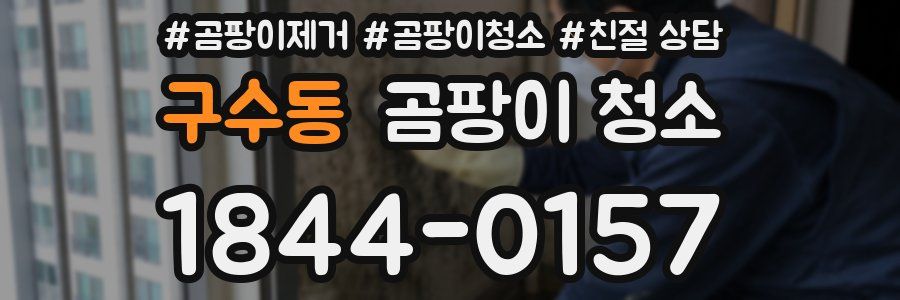 구수동 곰팡이 청소