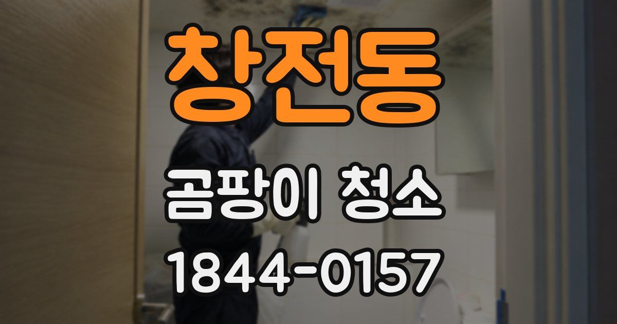 창전동 곰팡이 청소