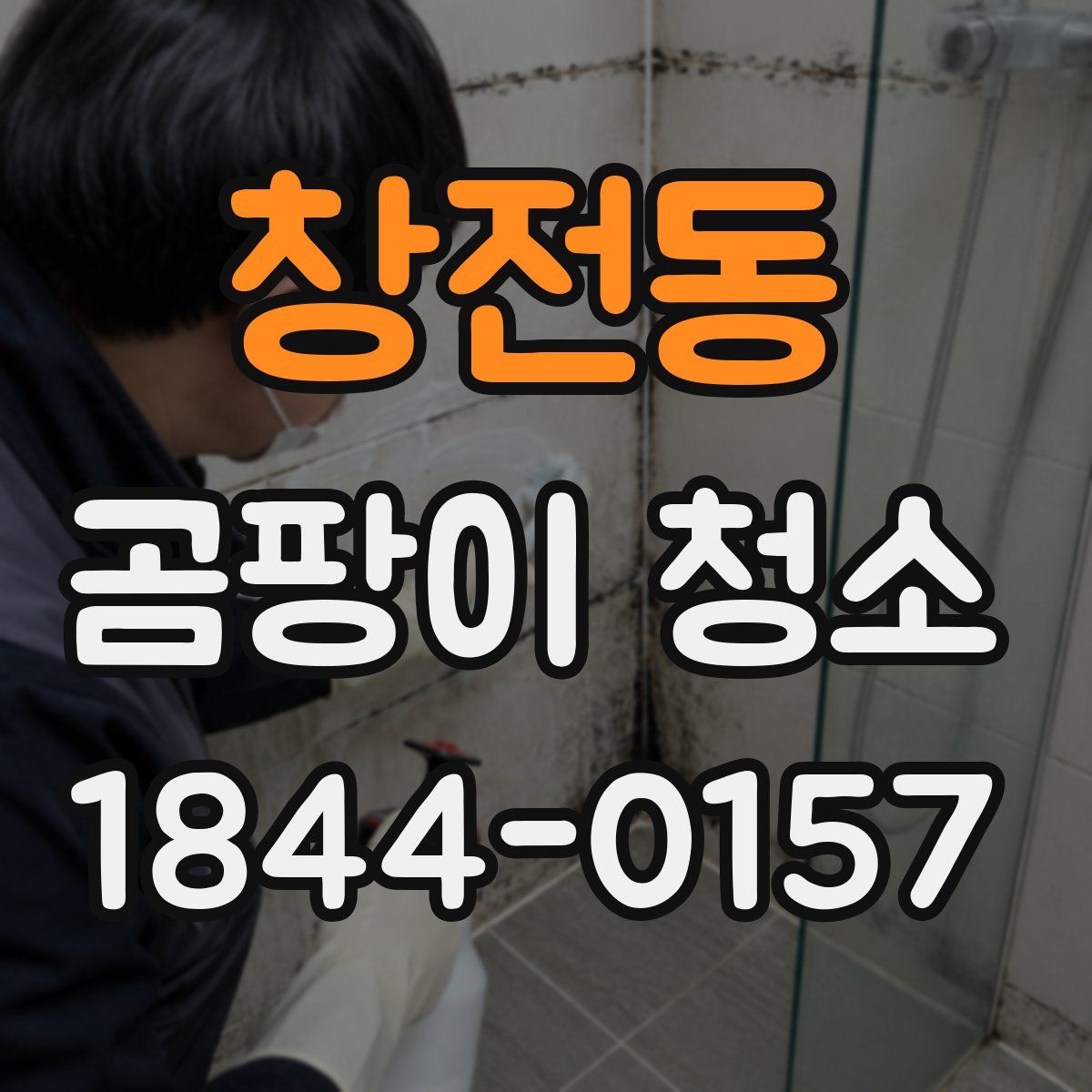 창전동 곰팡이 청소
