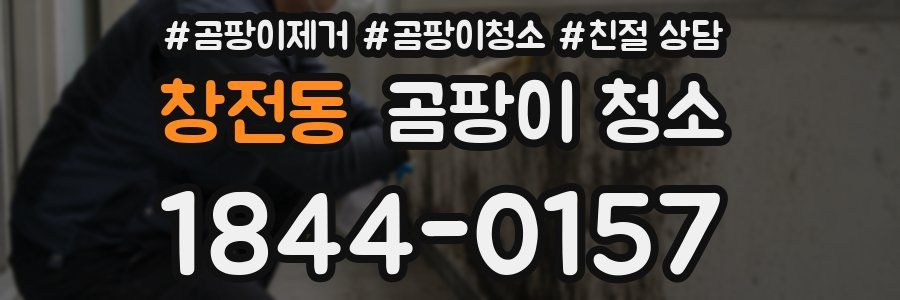 창전동 곰팡이 청소