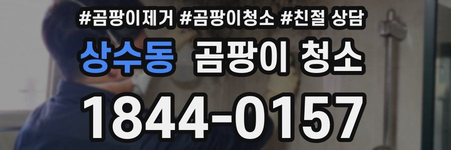 상수동 곰팡이 청소