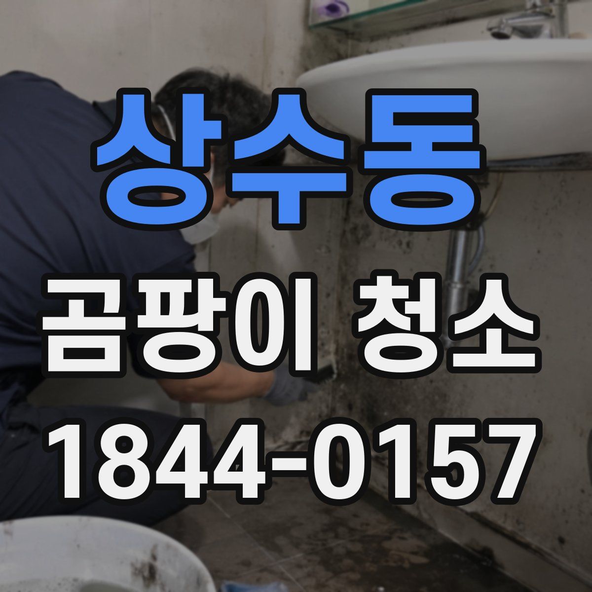 상수동 곰팡이 청소