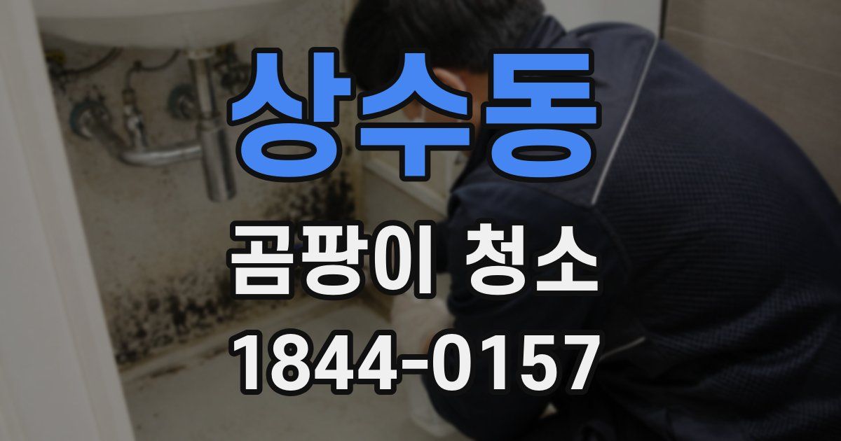 상수동 곰팡이 청소