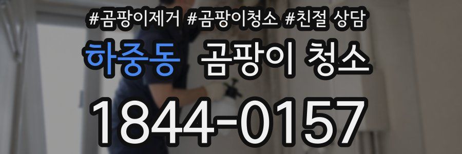 하중동 곰팡이 청소