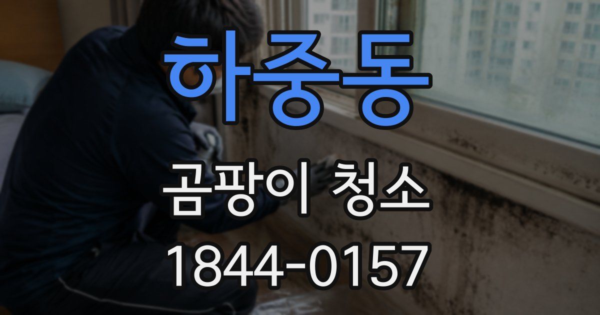 하중동 곰팡이 청소