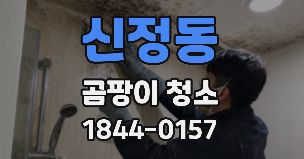 신정동 곰팡이 청소