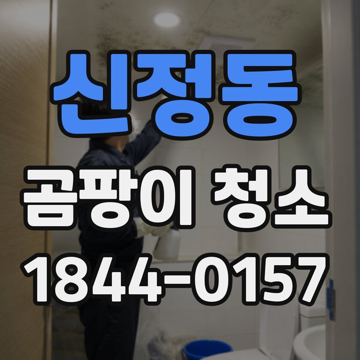 신정동 곰팡이 청소