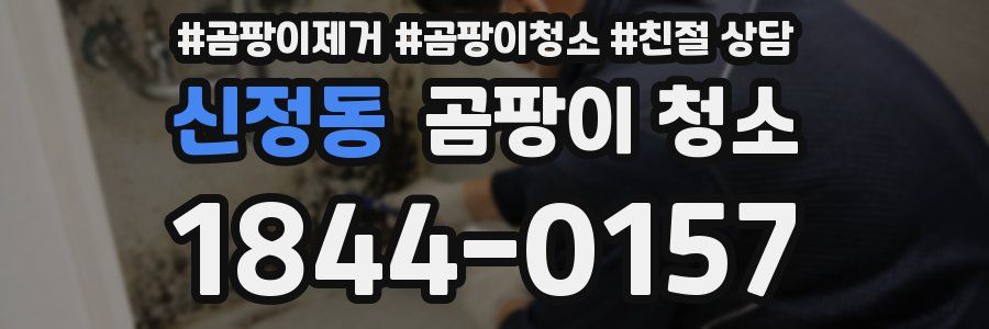 신정동 곰팡이 청소
