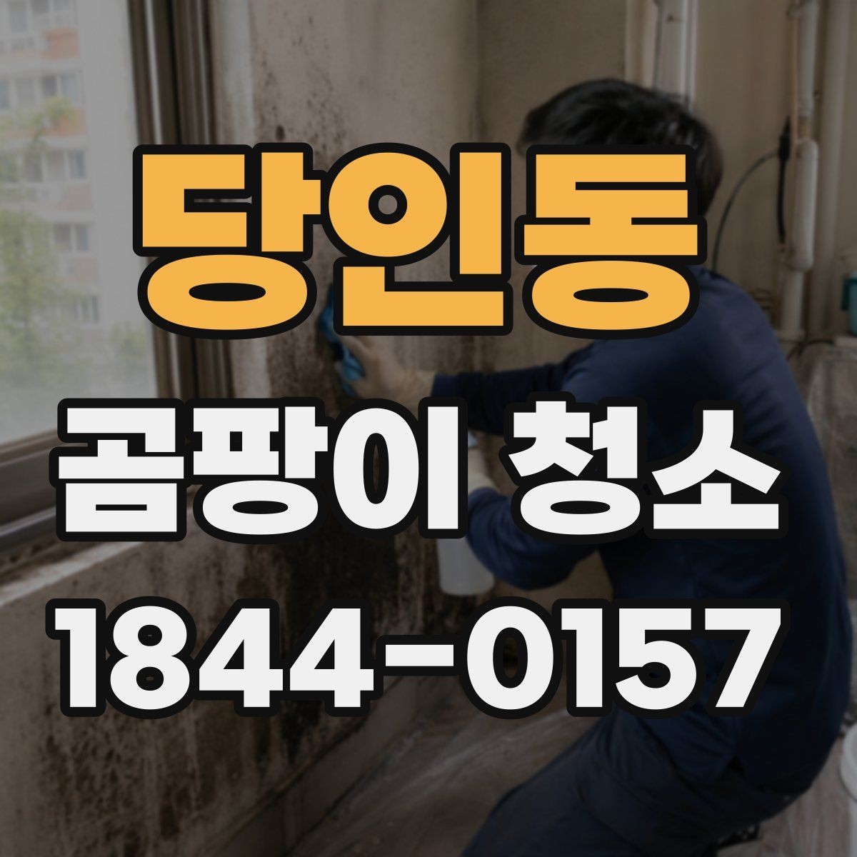 당인동 곰팡이 청소 업체를 찾을 때 비교할 항목