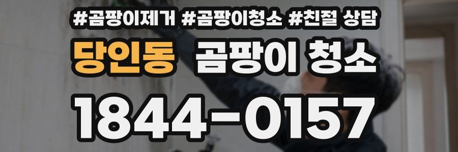 당인동 곰팡이 청소