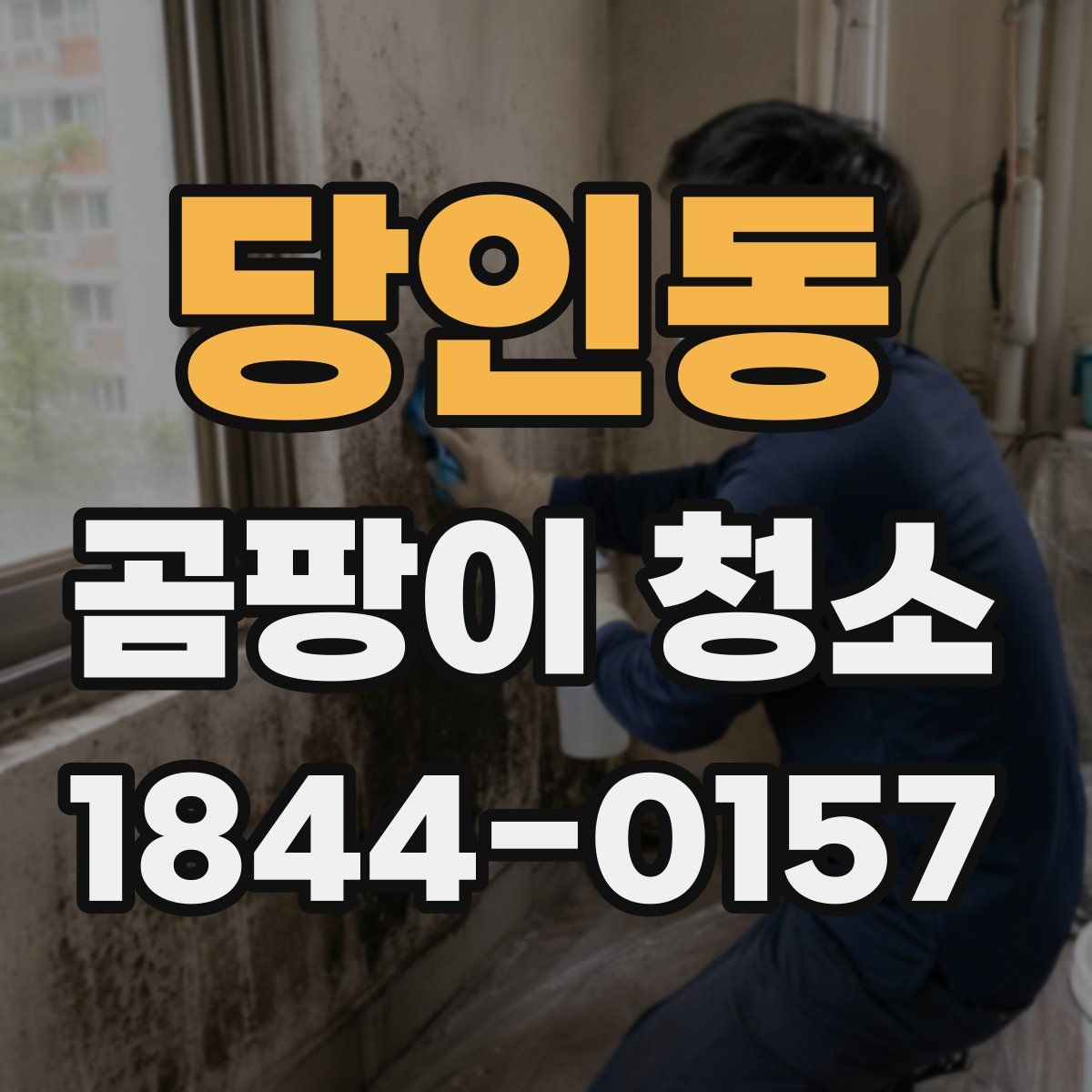 당인동 곰팡이 청소