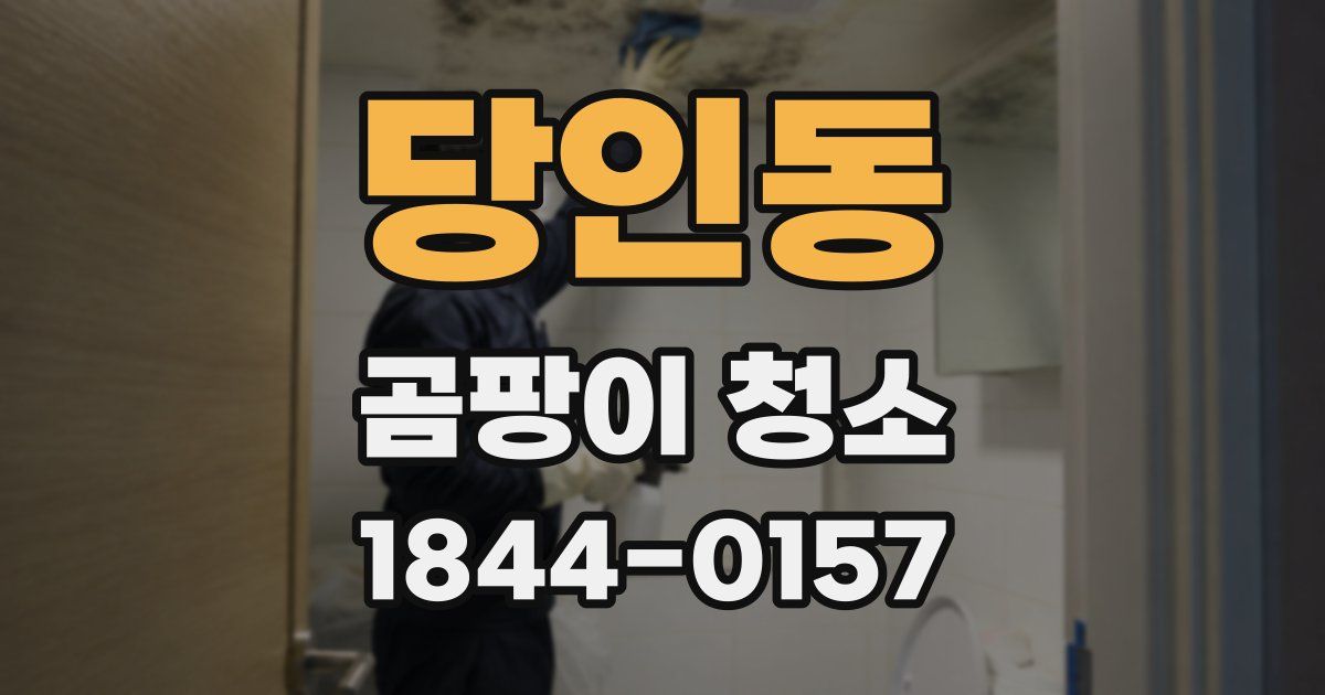 당인동 곰팡이 청소
