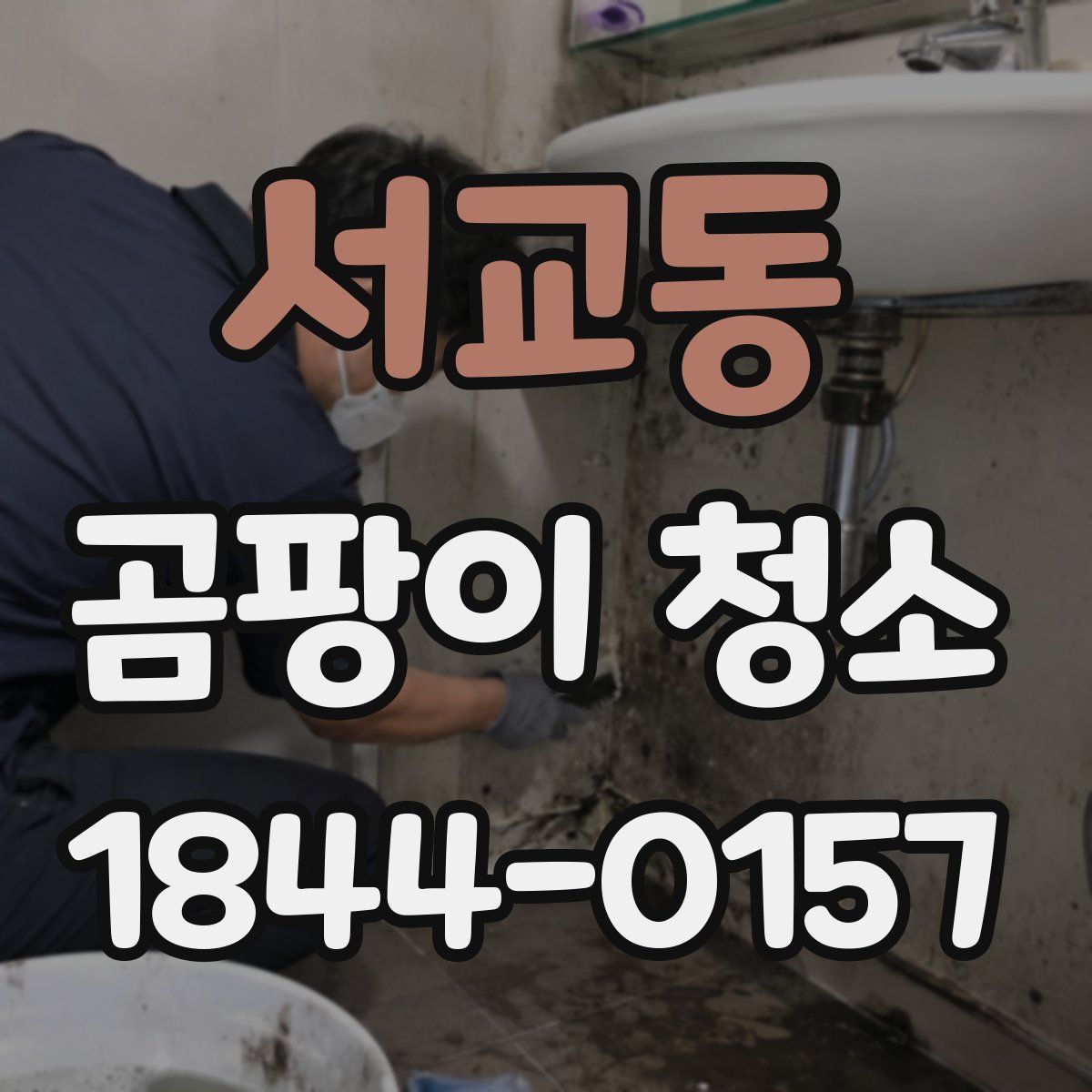 서교동 곰팡이 청소