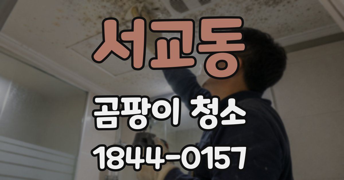 서교동 곰팡이 청소