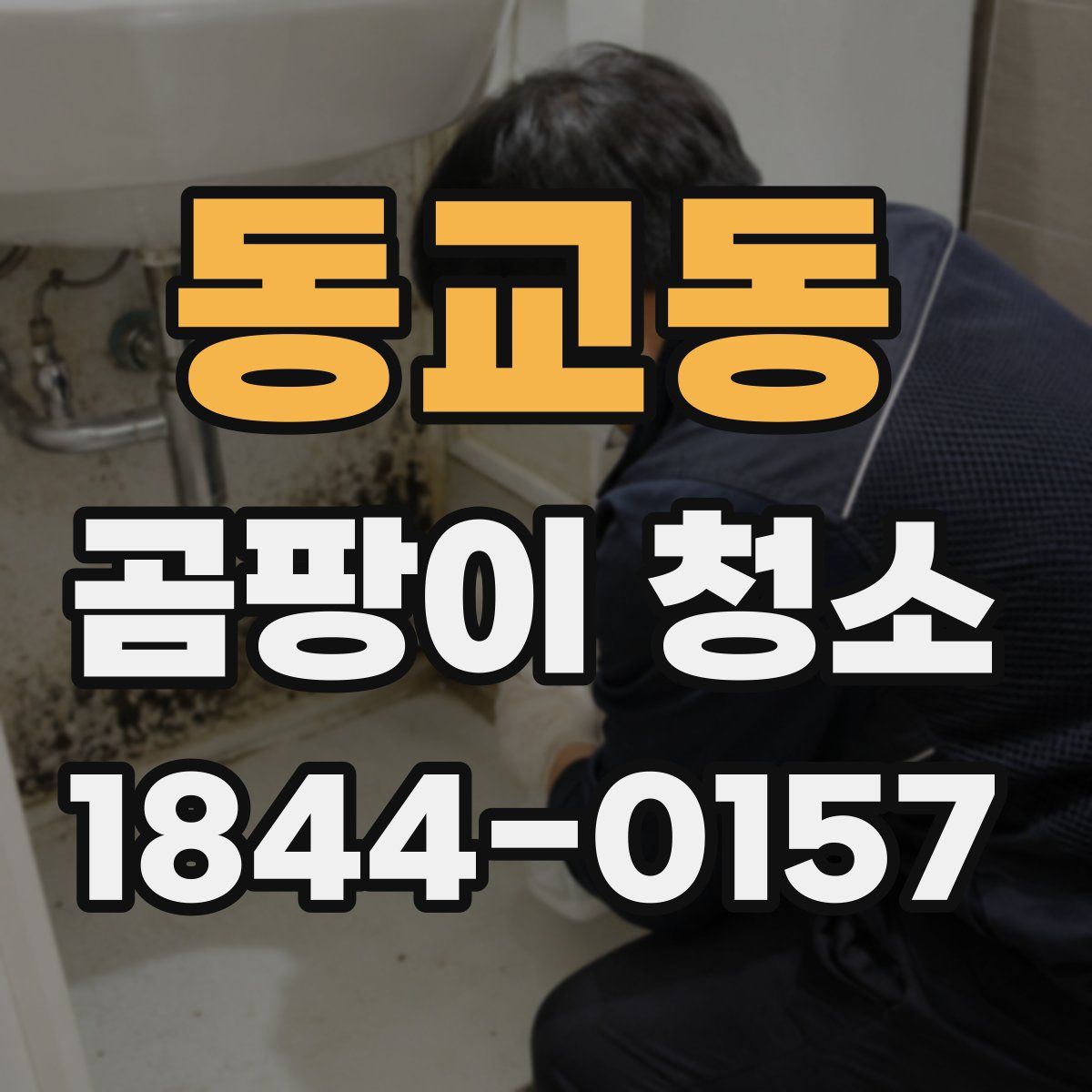 동교동 곰팡이 청소