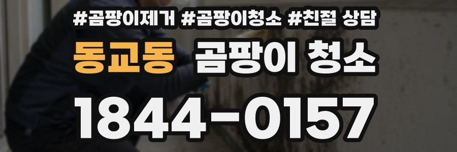 동교동 곰팡이 청소