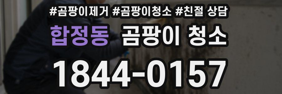 합정동 곰팡이 청소