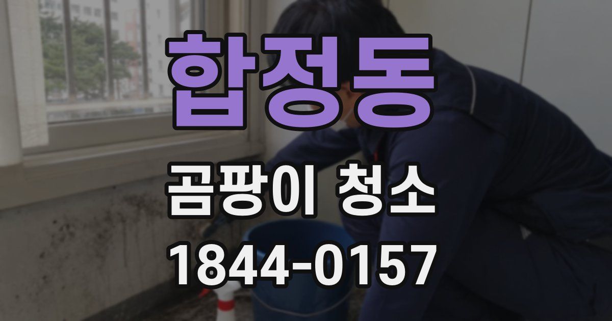 합정동 곰팡이 청소