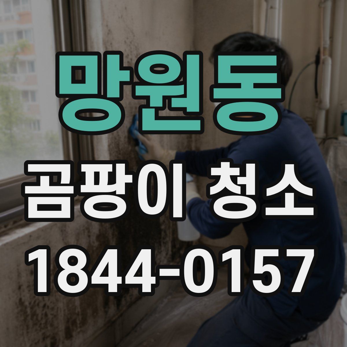 망원동 곰팡이 청소