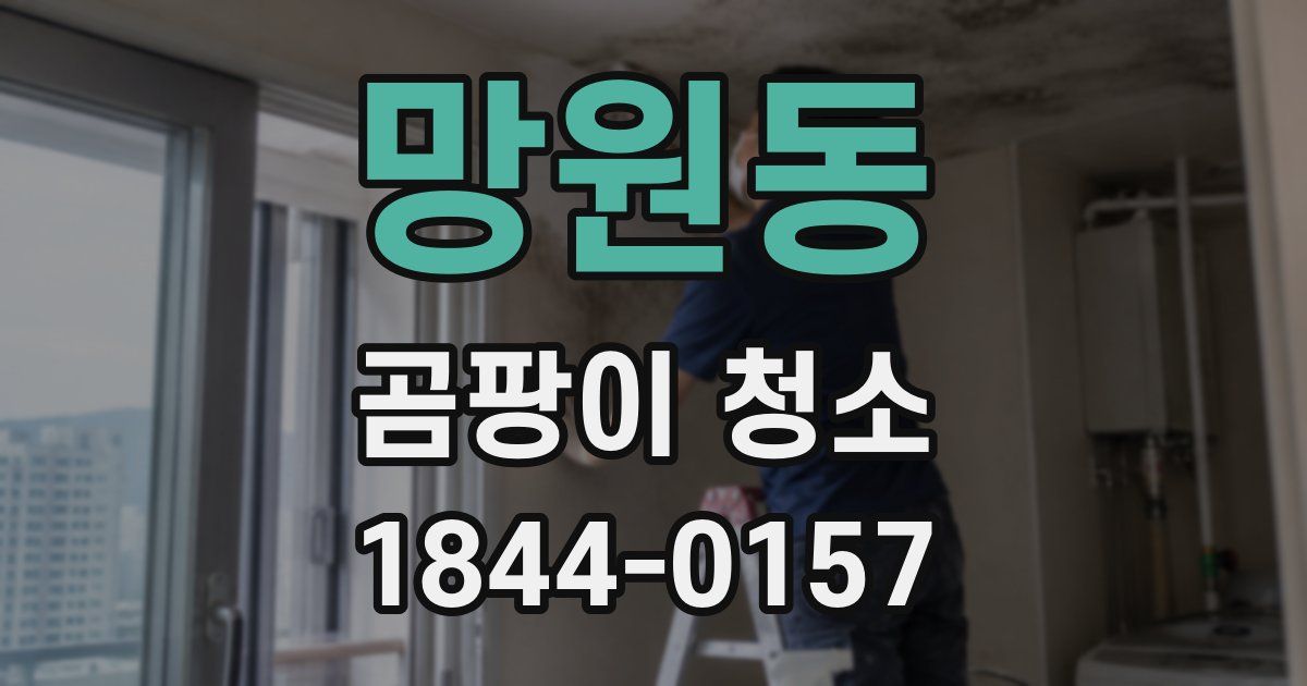 망원동 곰팡이 청소
