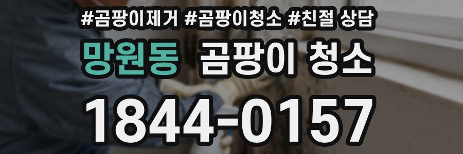 망원동 곰팡이 청소