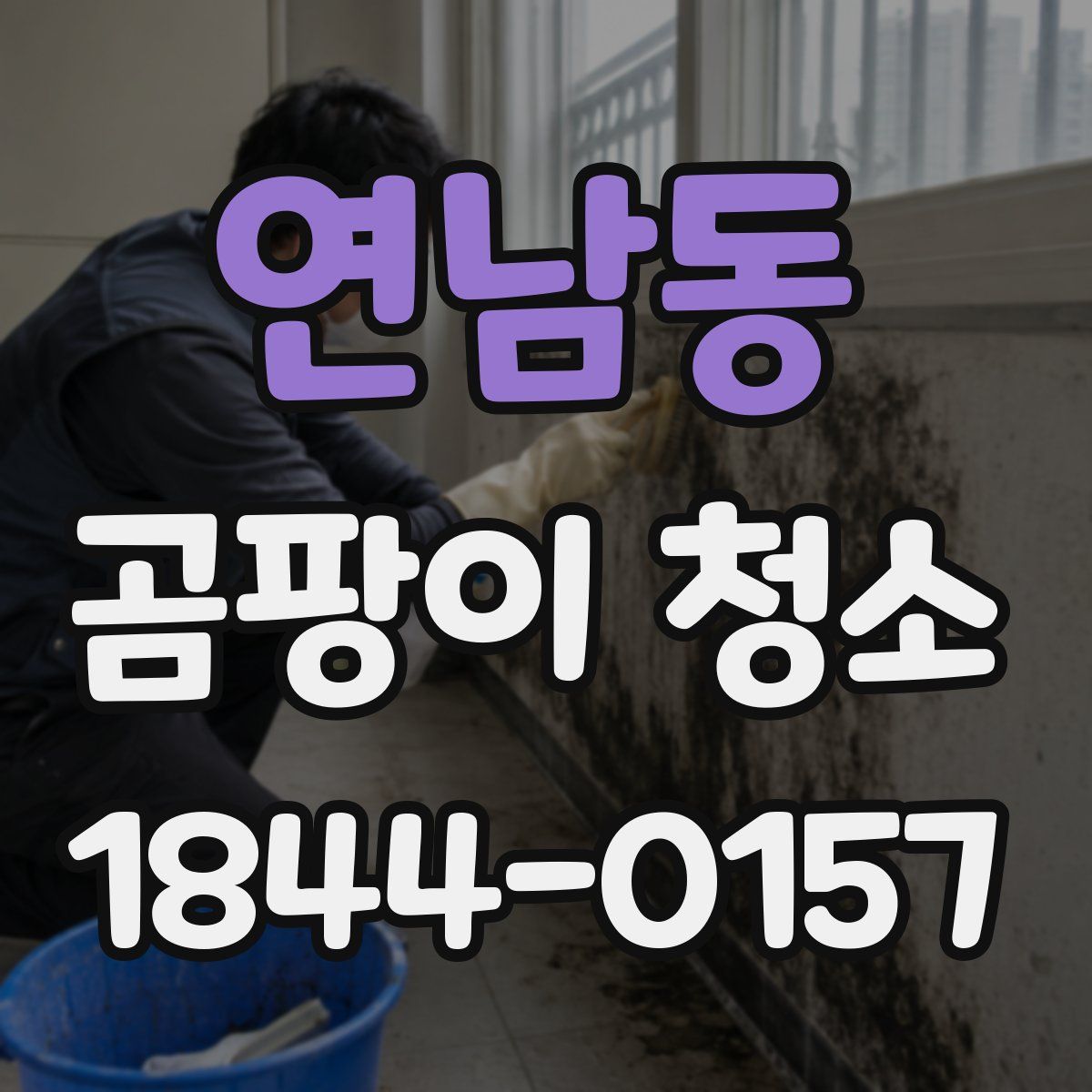 연남동 곰팡이 청소
