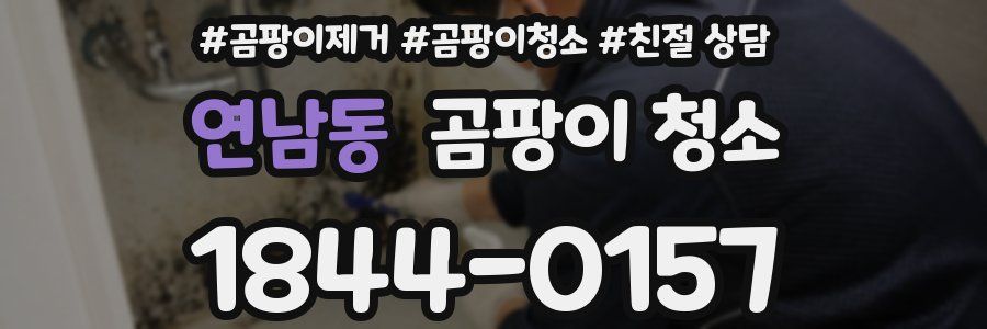 연남동 곰팡이 청소