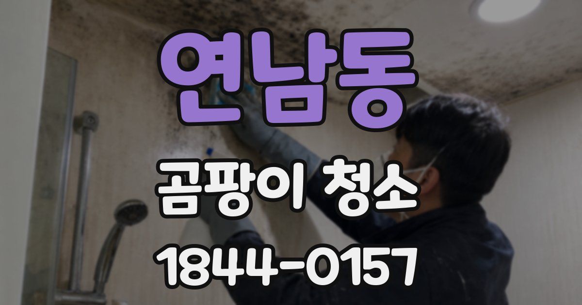 연남동 곰팡이 청소