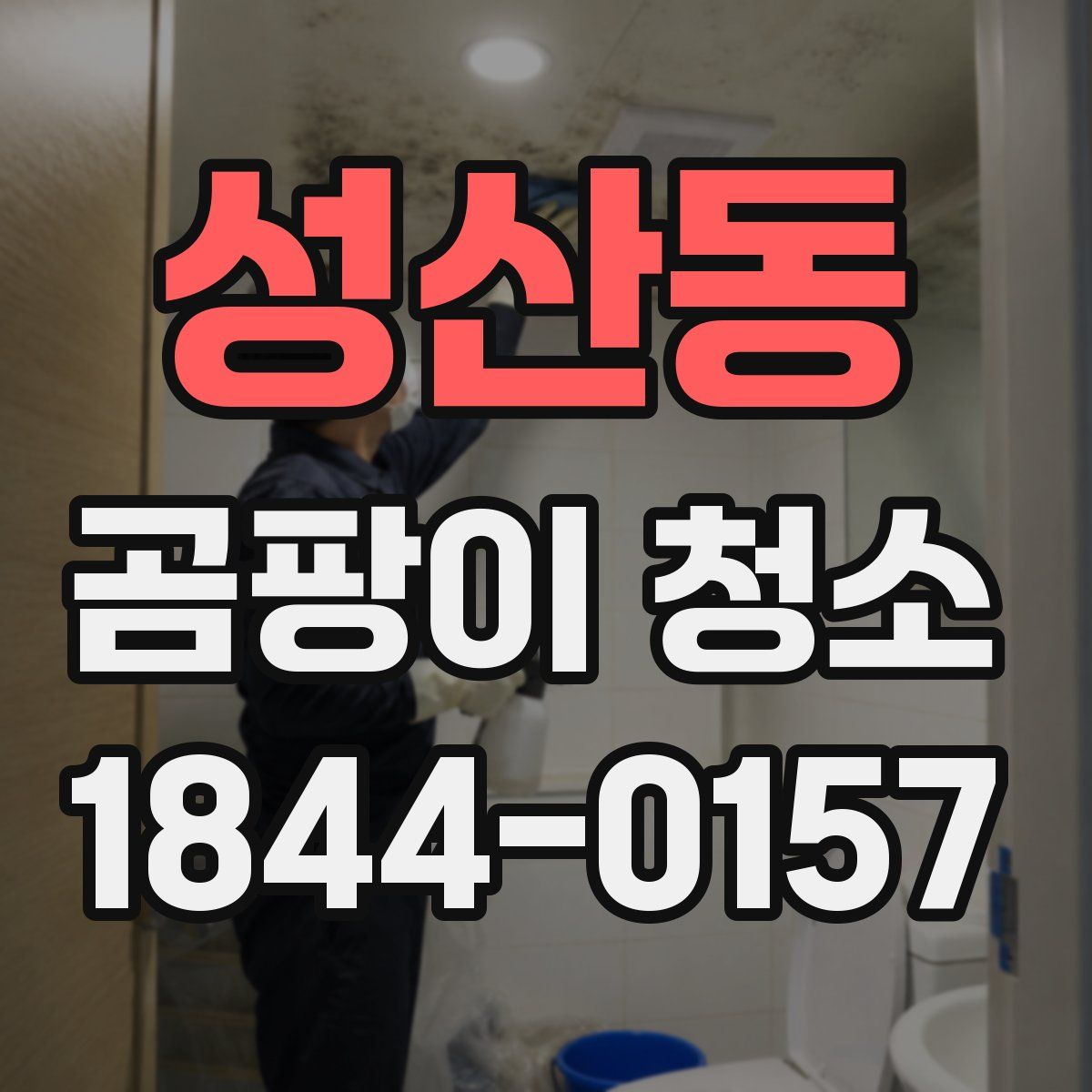 성산동 곰팡이 청소