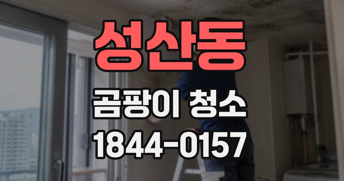 성산동 곰팡이 청소
