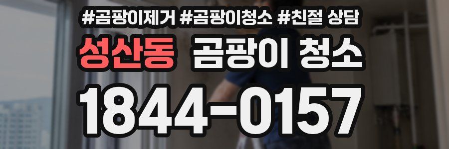 성산동 곰팡이 청소