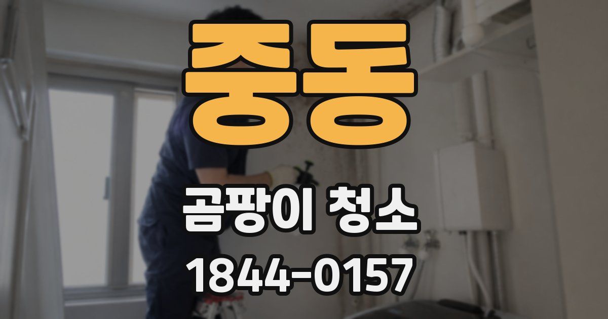 중동 곰팡이 청소