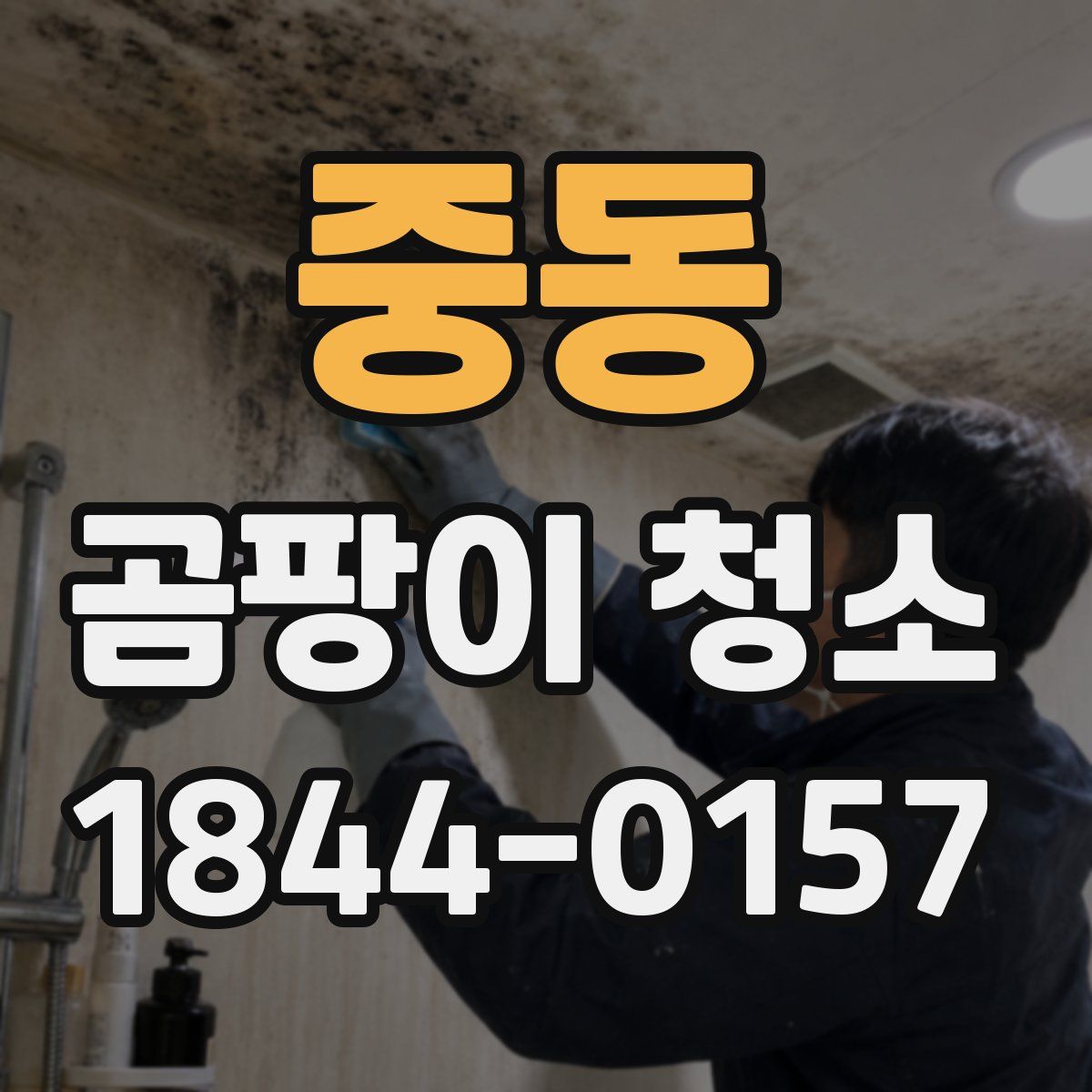 중동 곰팡이 청소
