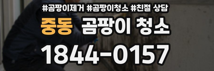 중동 곰팡이 청소