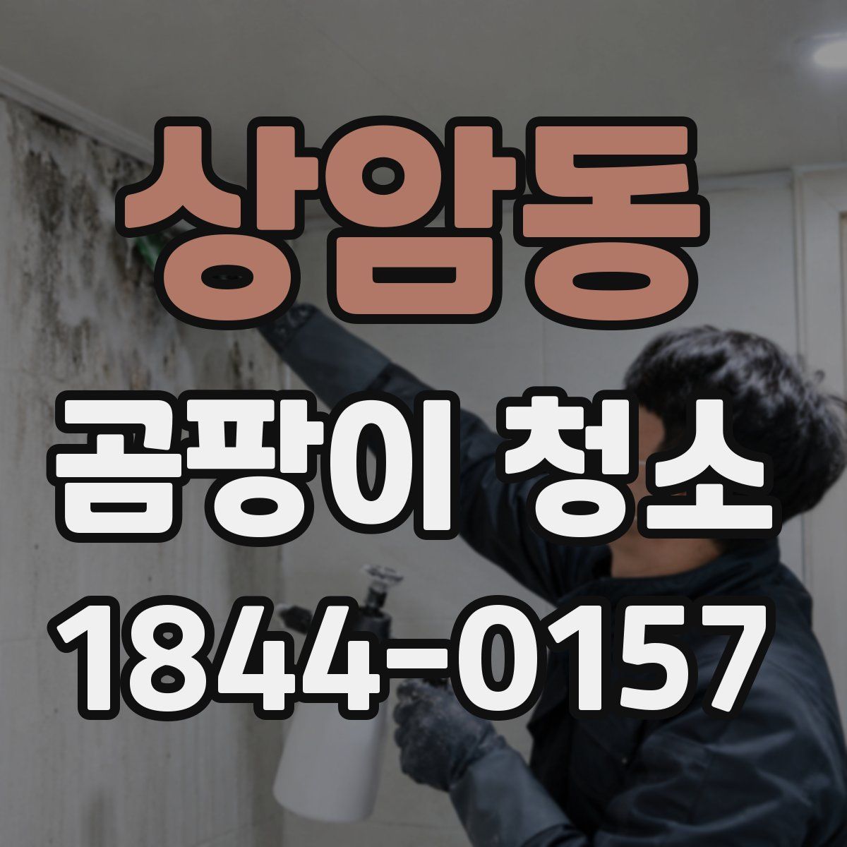 상암동 곰팡이 청소