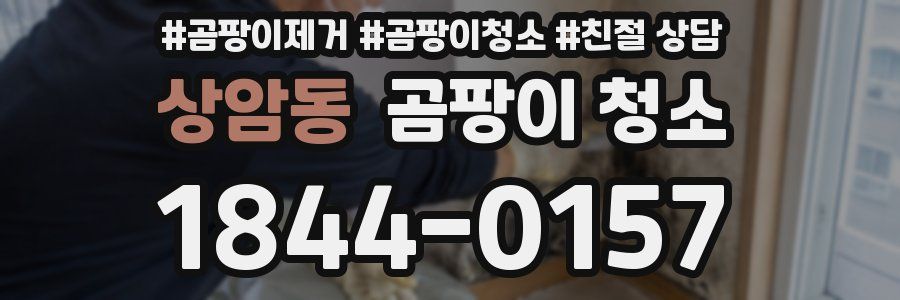 상암동 곰팡이 청소