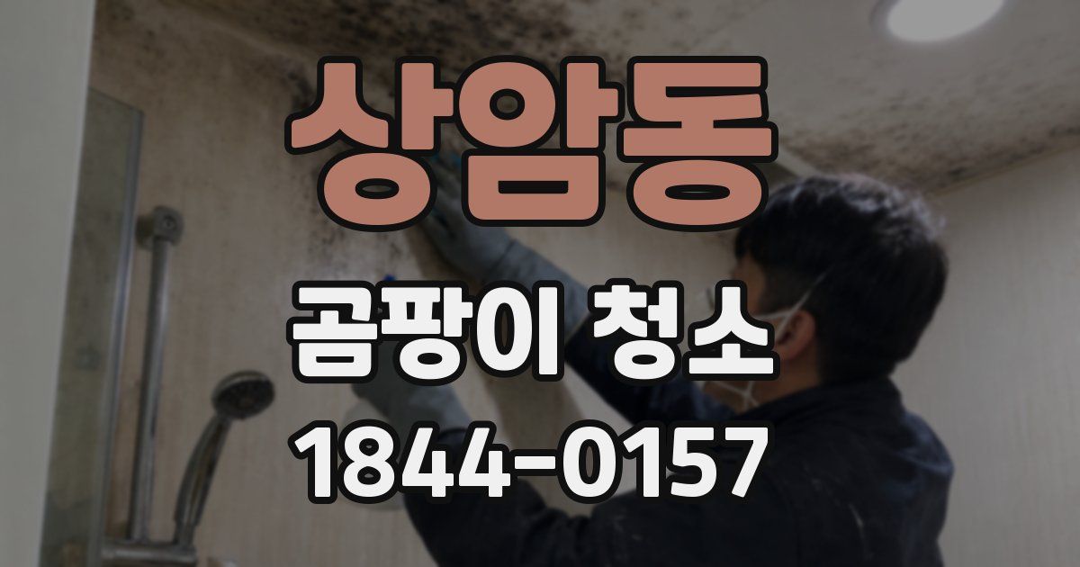 상암동 곰팡이 청소