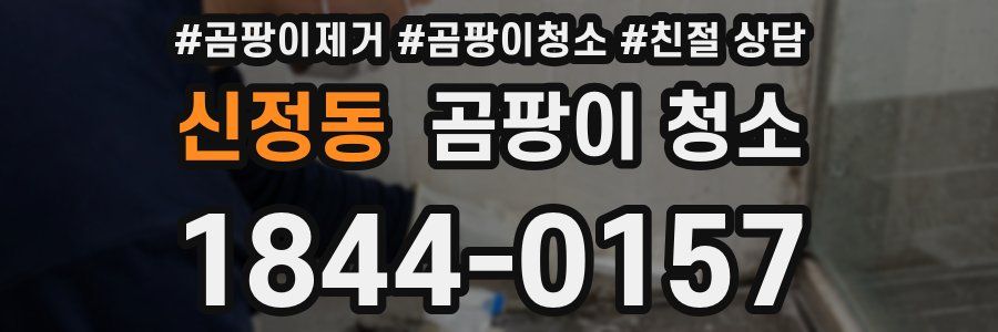 신정동 곰팡이 청소