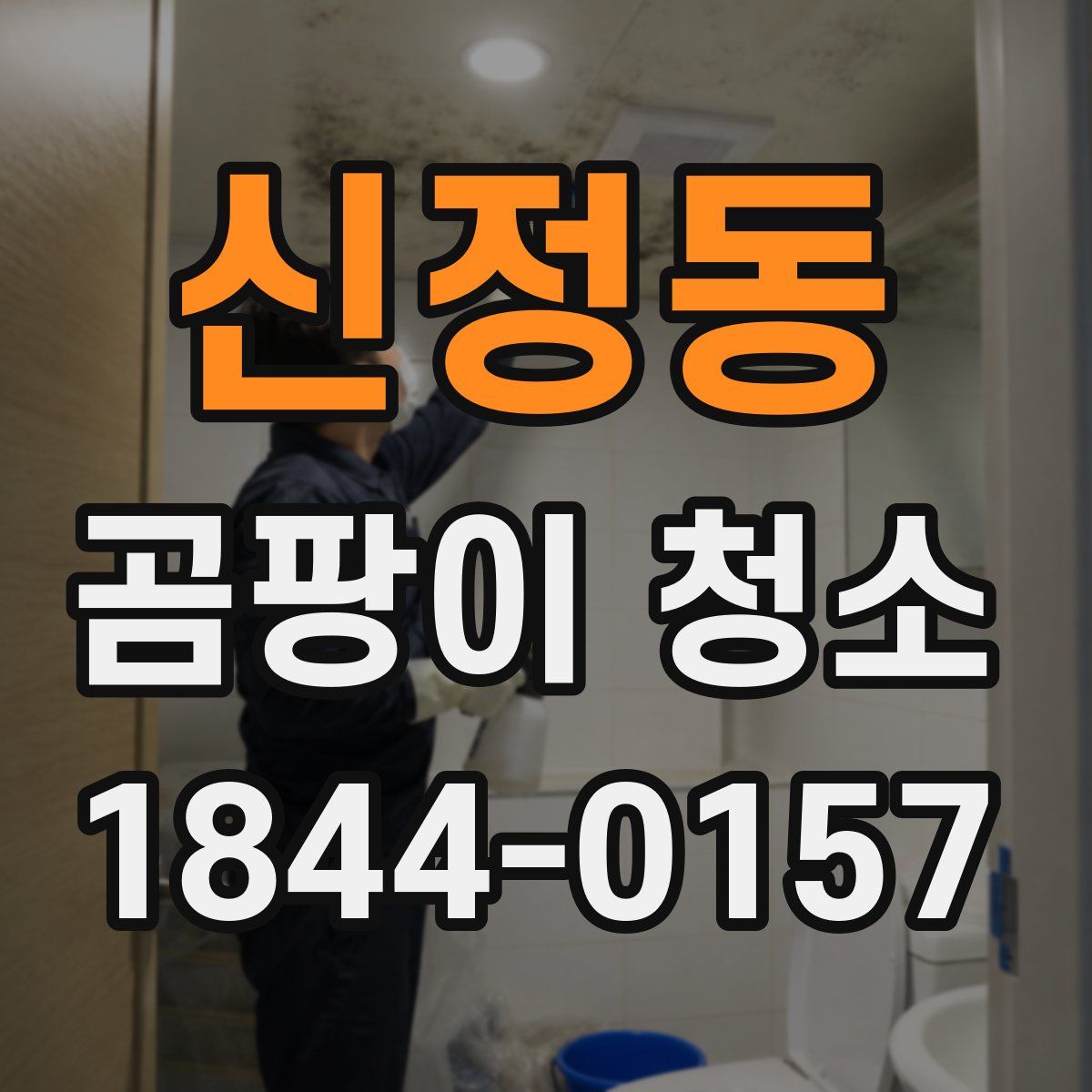 신정동 곰팡이 청소