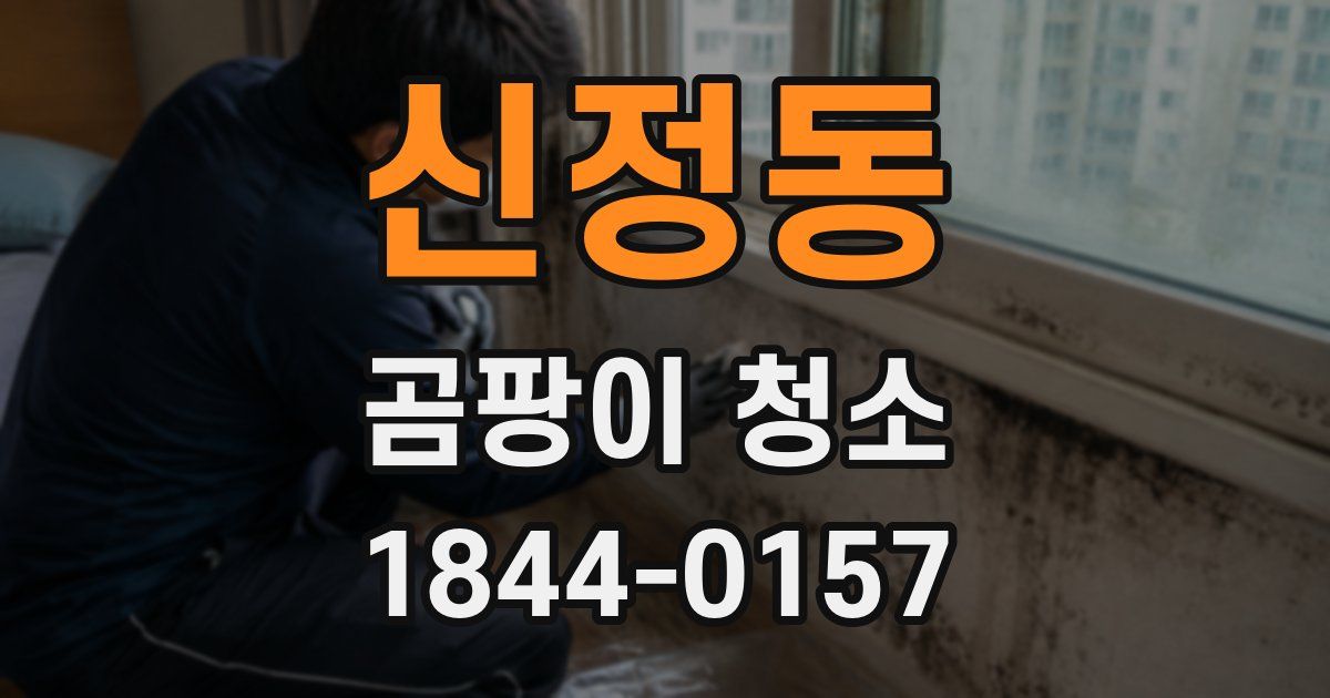 신정동 곰팡이 청소
