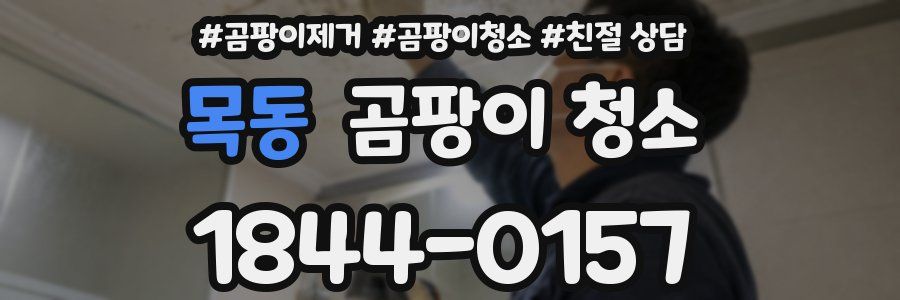 목동 곰팡이 청소