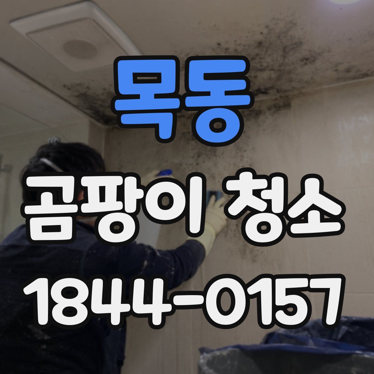 목동 곰팡이 청소