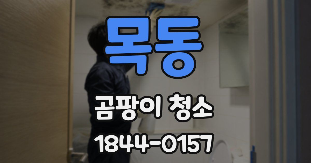 목동 곰팡이 청소