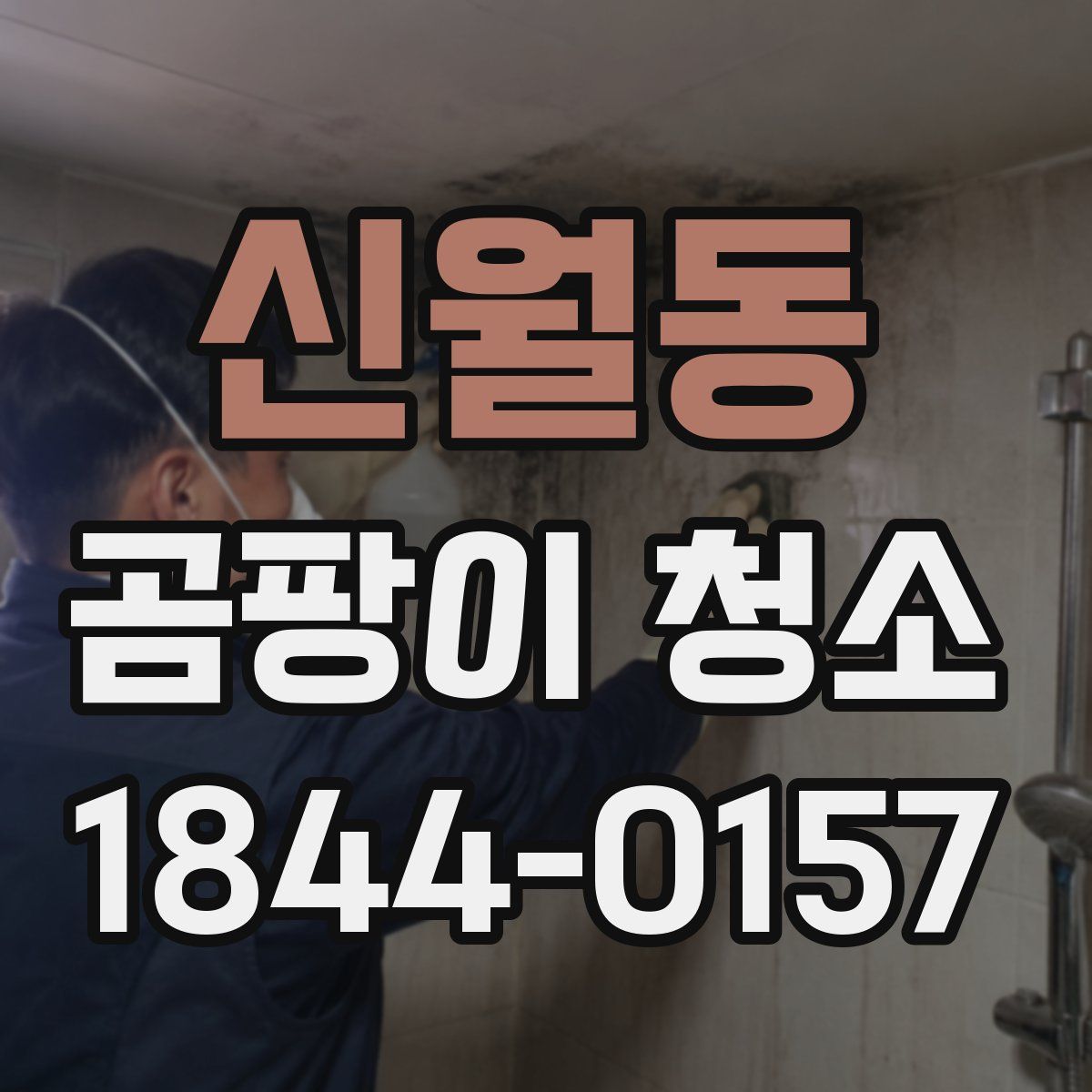 신월동 곰팡이 청소