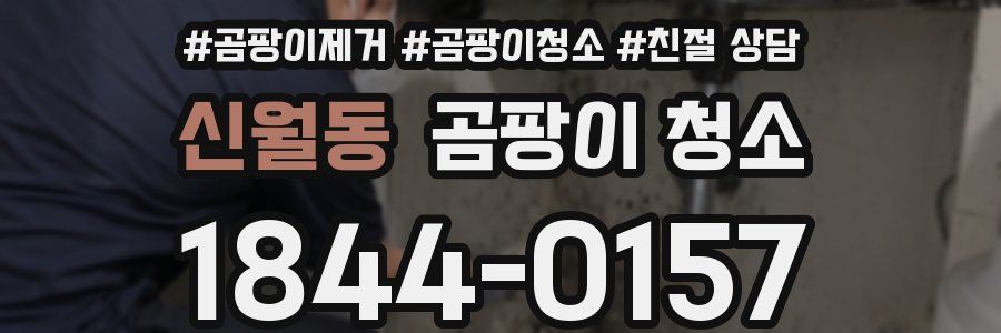 신월동 곰팡이 청소
