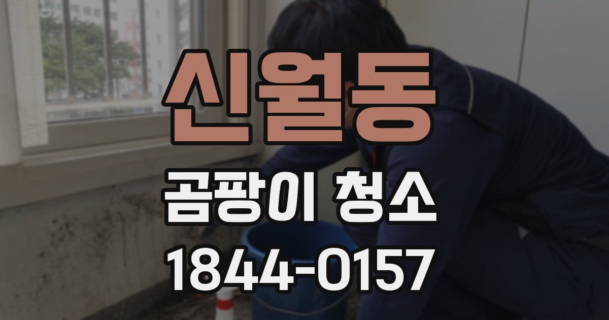 신월동 곰팡이 청소