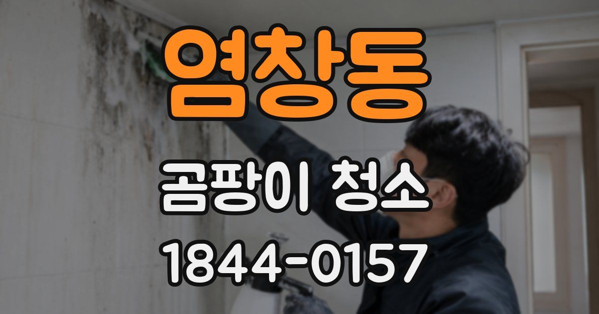 염창동 곰팡이 청소