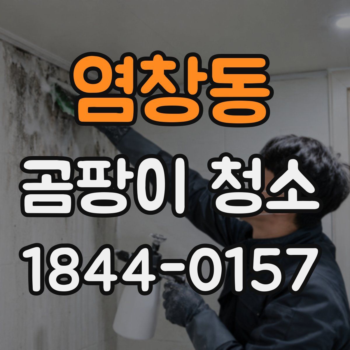 염창동 곰팡이 청소