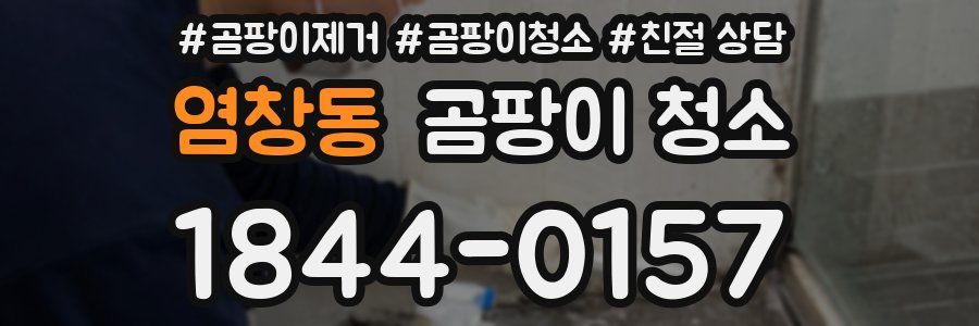 염창동 곰팡이 청소